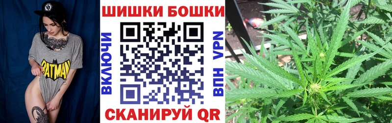 Конопля план  Купить  Полярный 